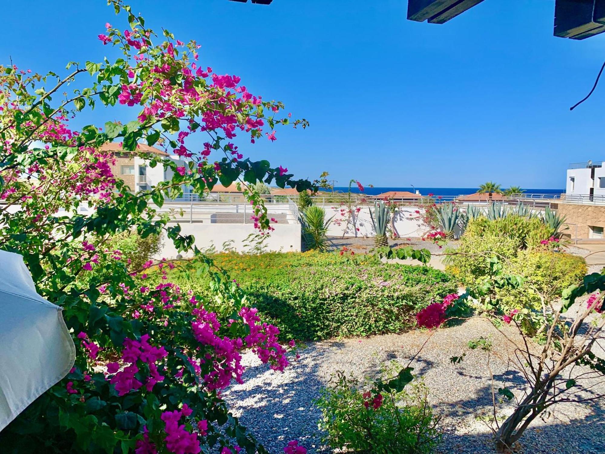 Boho Apartment Paralimni